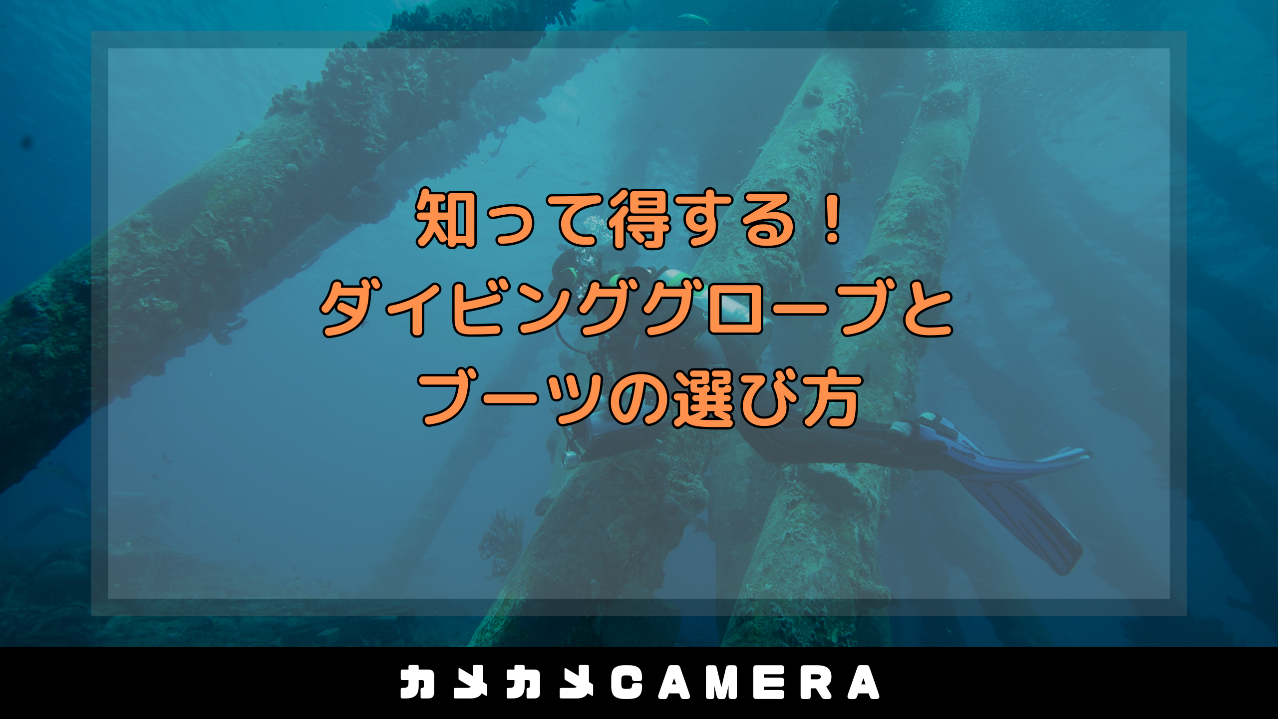 article_img