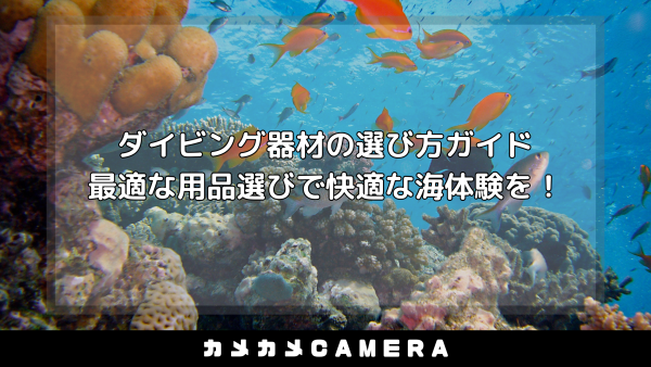 article_img