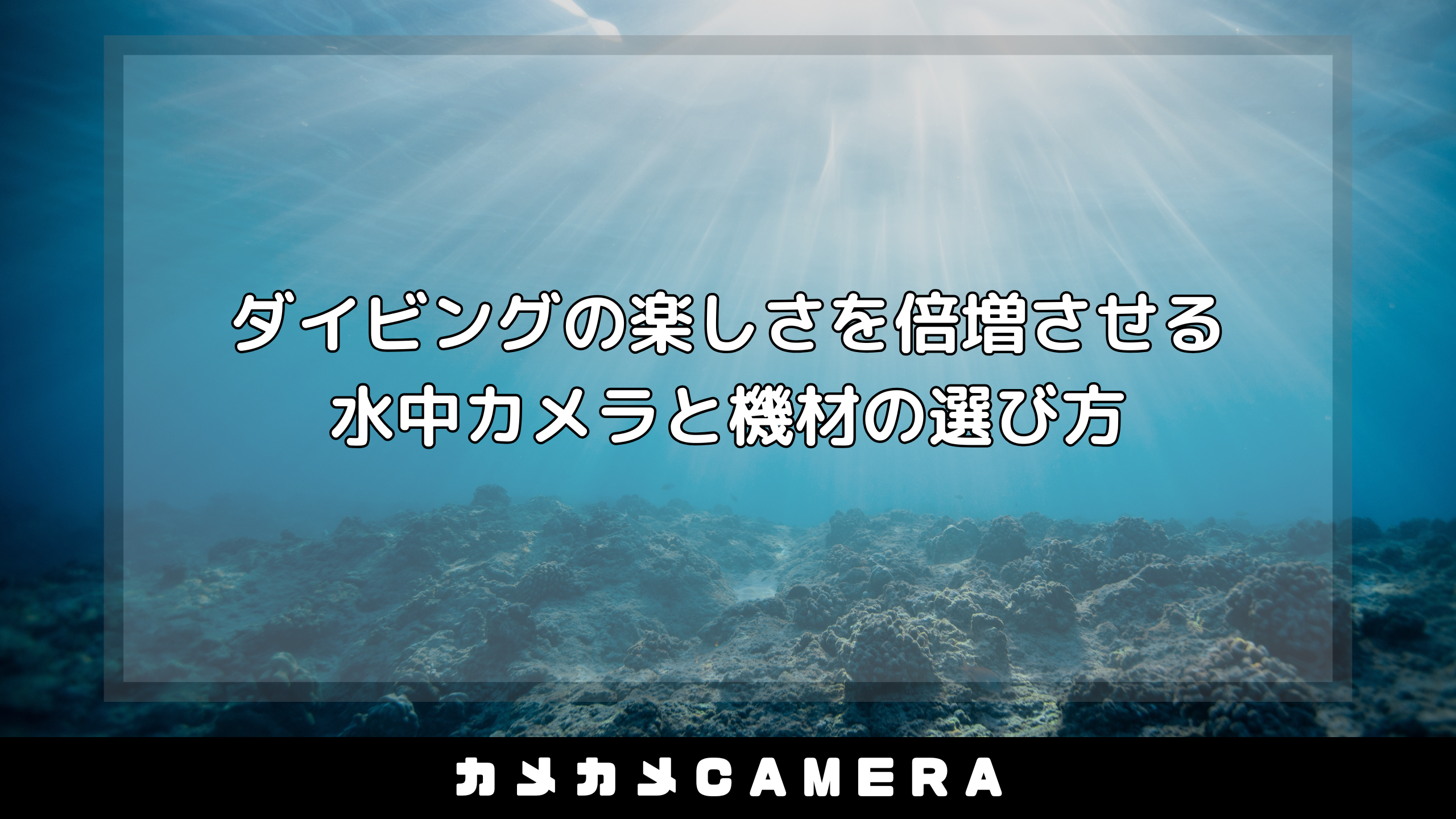 2025ダイビングの楽しさを倍増させる水中カメラと機材の選び方 