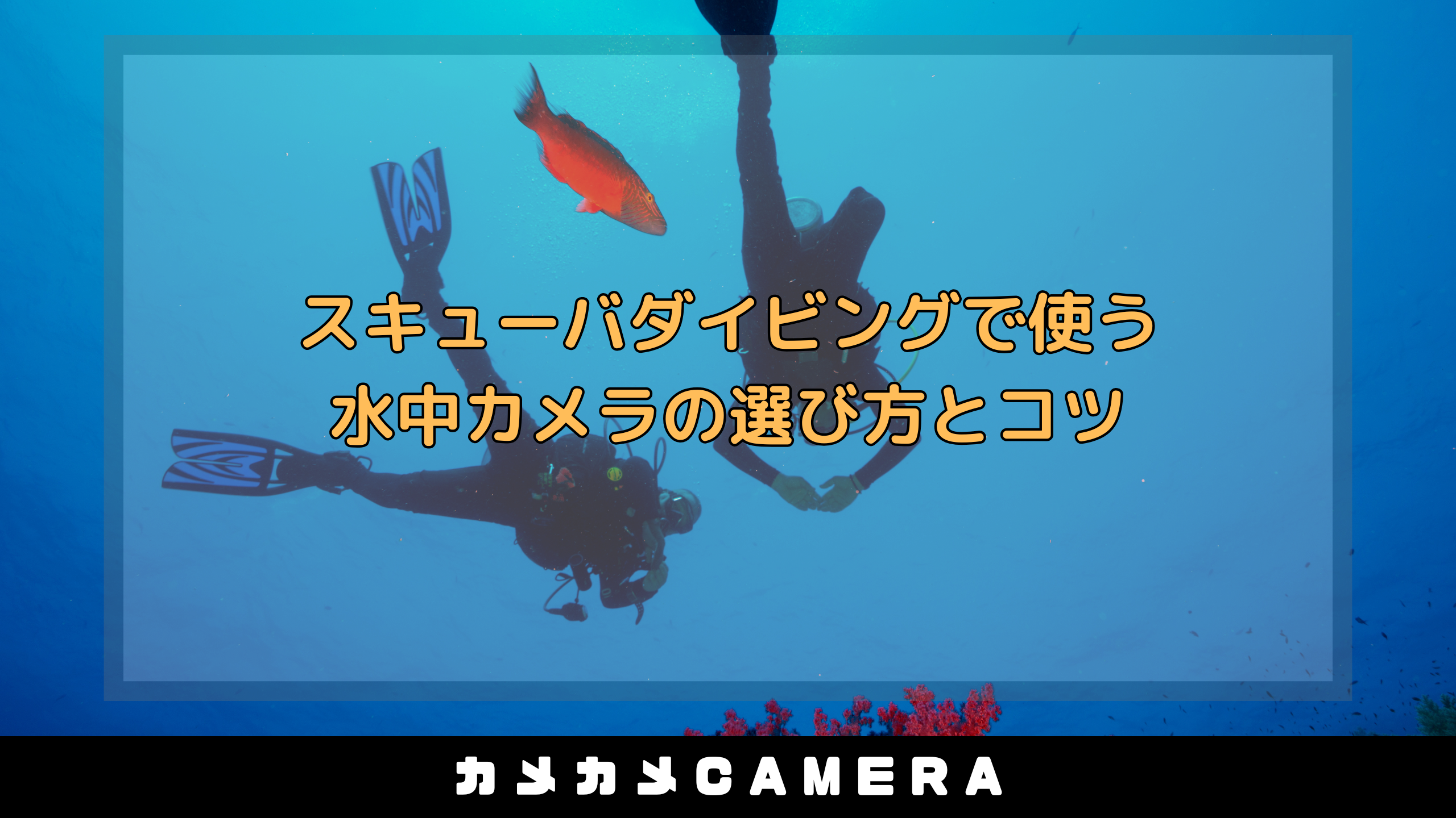 コラム表紙.png