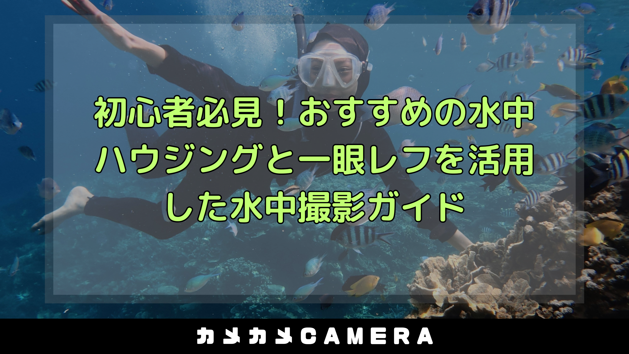 初心者がダイビングに必要な道具まとめ【2026年版】 カメカメCAMERAの