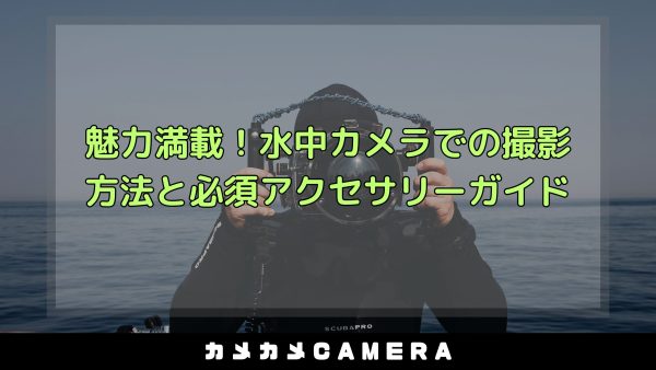 article_img