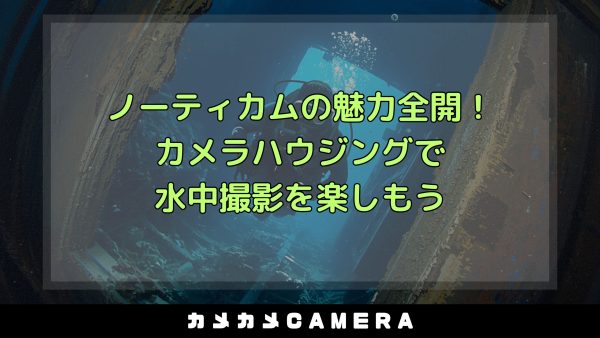 article_img