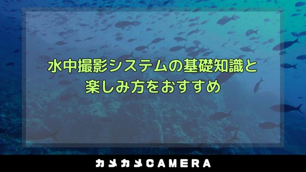 article_img