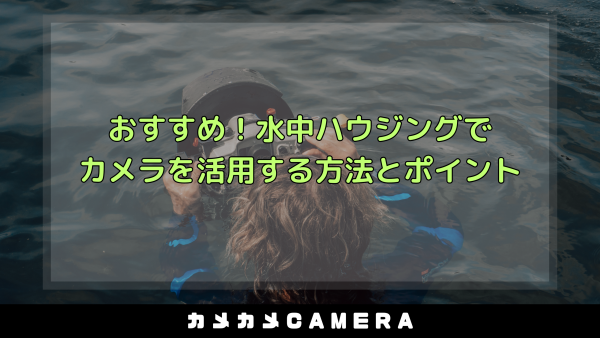article_img